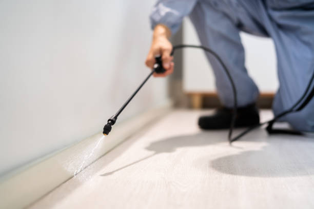 Professional exterminator conducting IPM assessment in Little Silver