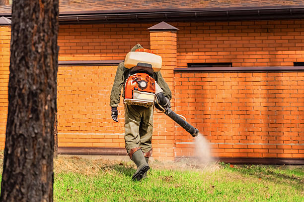 Bed Bug Clearance Verification and Documentation in Little Silver